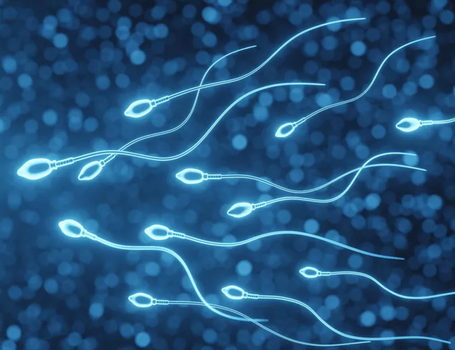 کشف تغییرات ژنتیکی جدید در رفتار شناکردن سلول‌های اسپرم